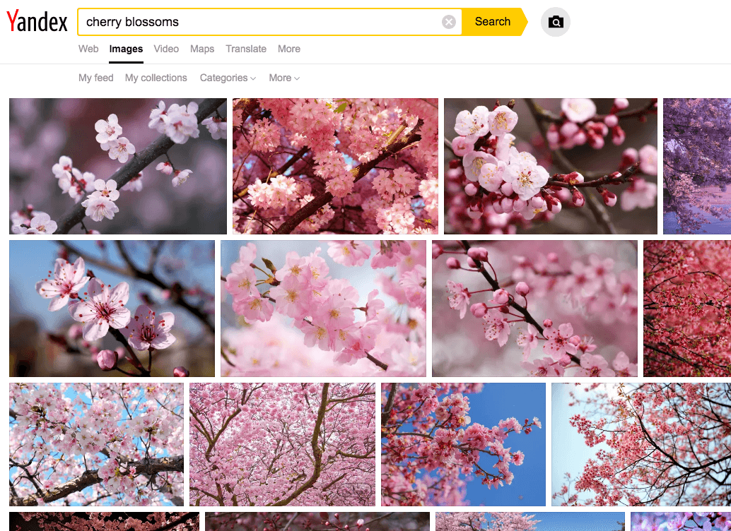 best image search engine Yandex